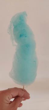 Pustno rajanje na Selu, foto PGD Selo pri Mirni (8)